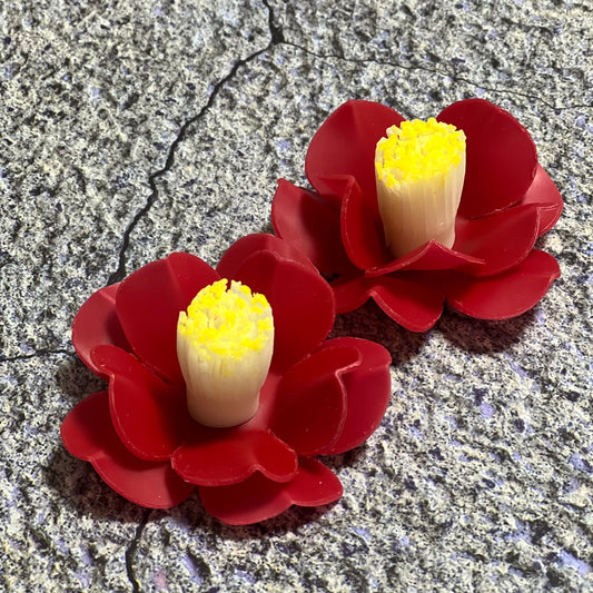 新年明けましておめでとうございます!