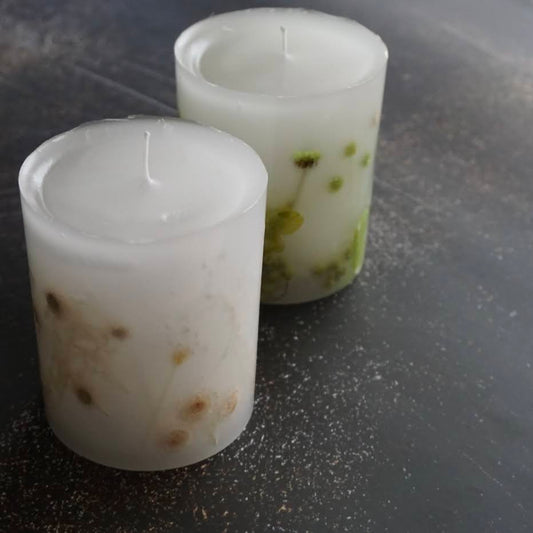 夏休みの自由研究にいかがですか?