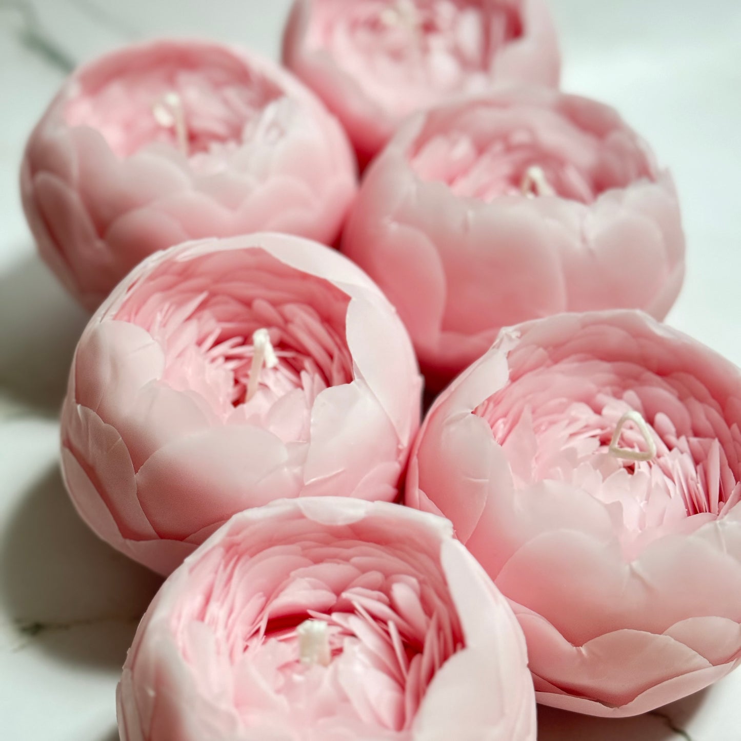 FlowerCandle: 芍薬(L)