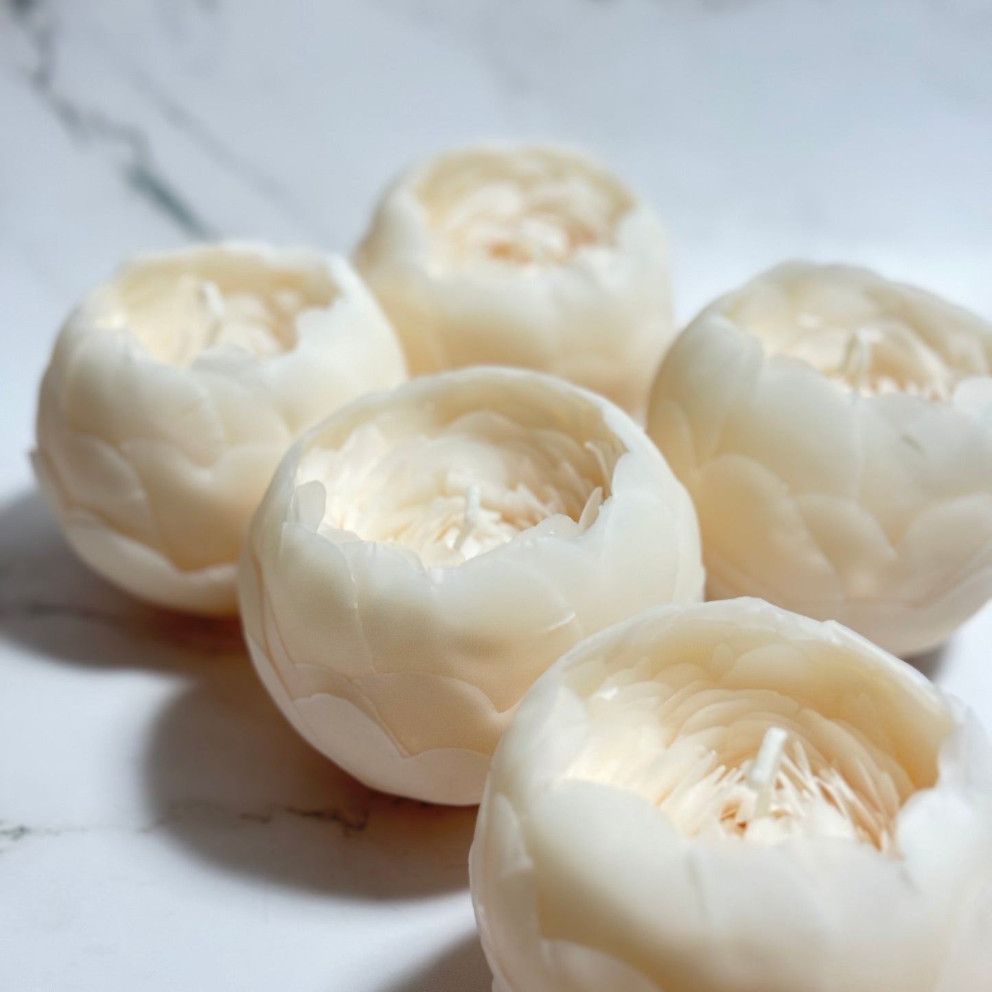 FlowerCandle: 芍薬(L)