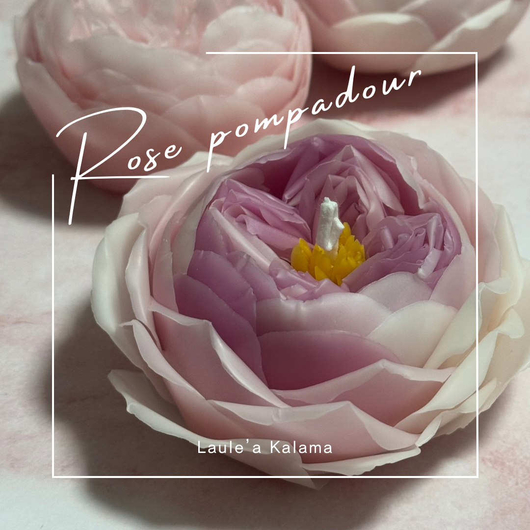 FlowerCandle:ローズポンパドール(バラ)