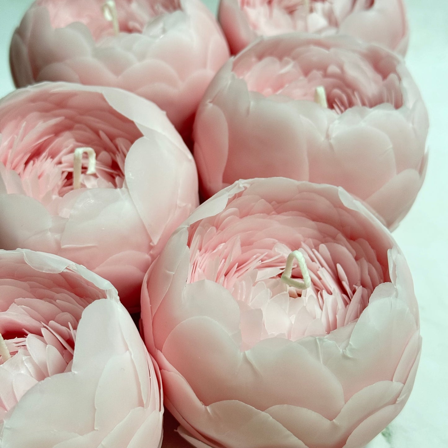 FlowerCandle: 芍薬(L)