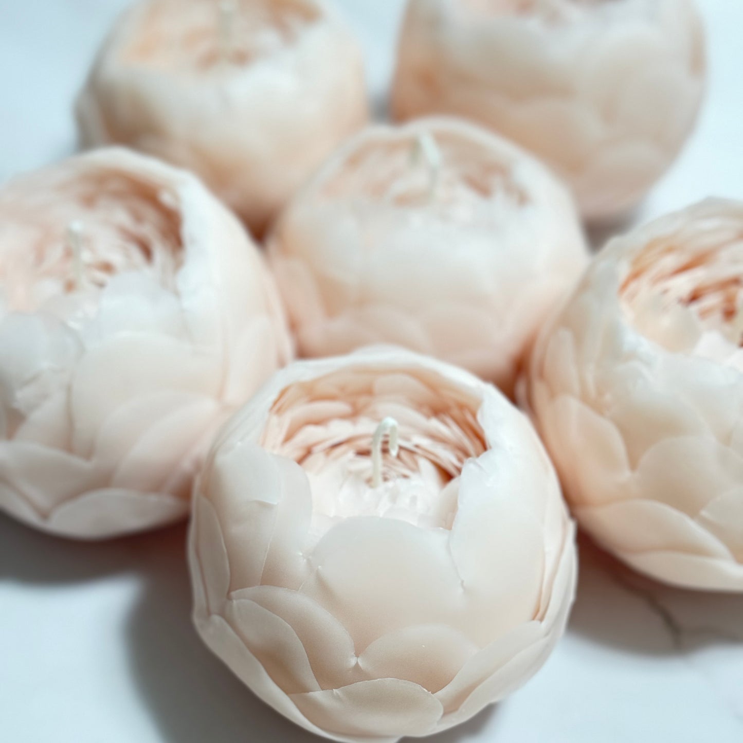 FlowerCandle: 芍薬(L)