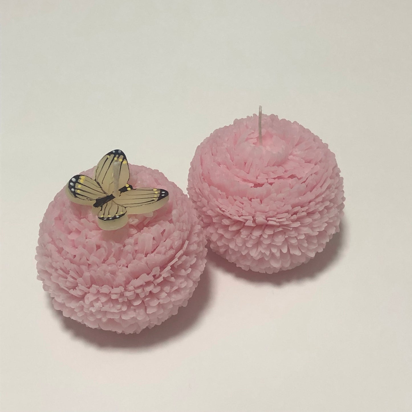 FlowerCandle : ピンポンマム