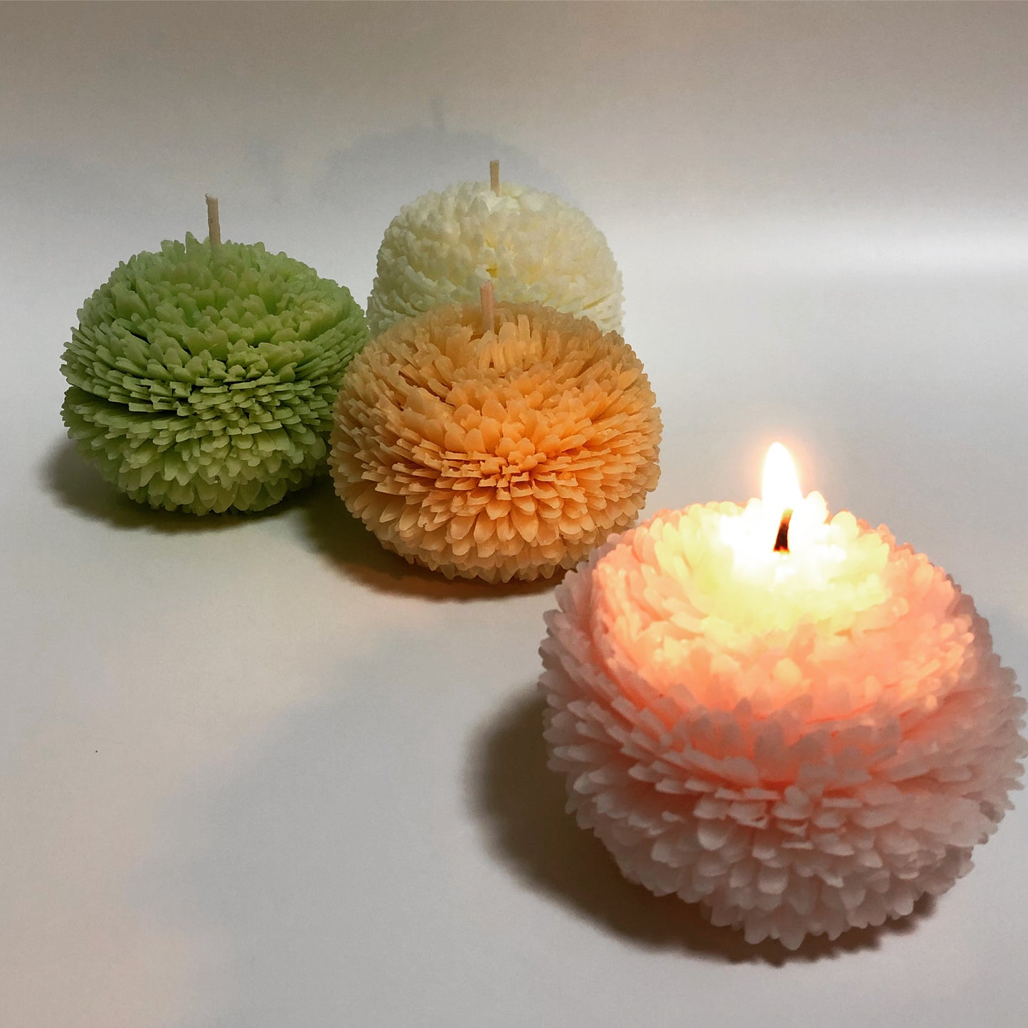 FlowerCandle : ピンポンマム