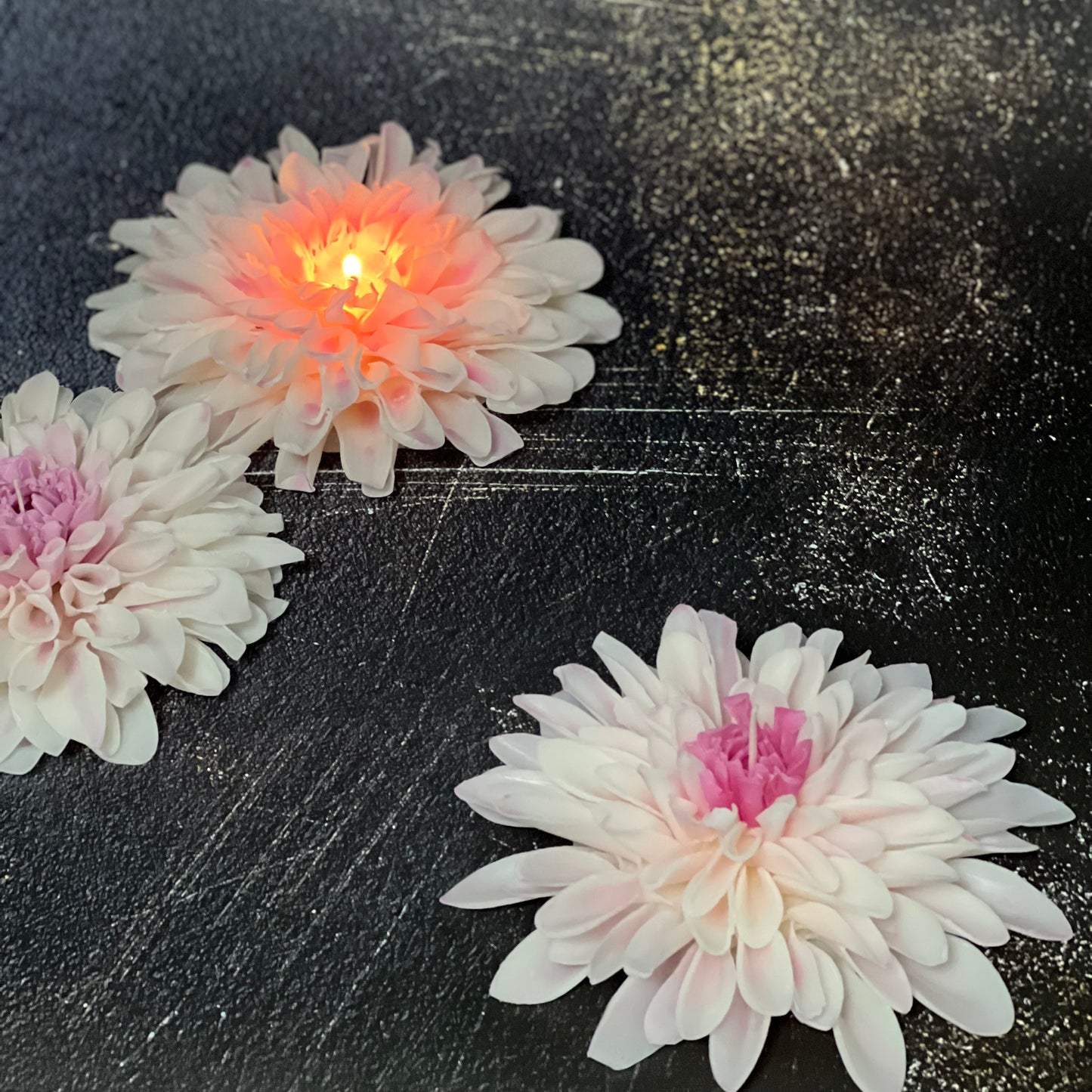 FlowerCandle:ダリア・クラシコ