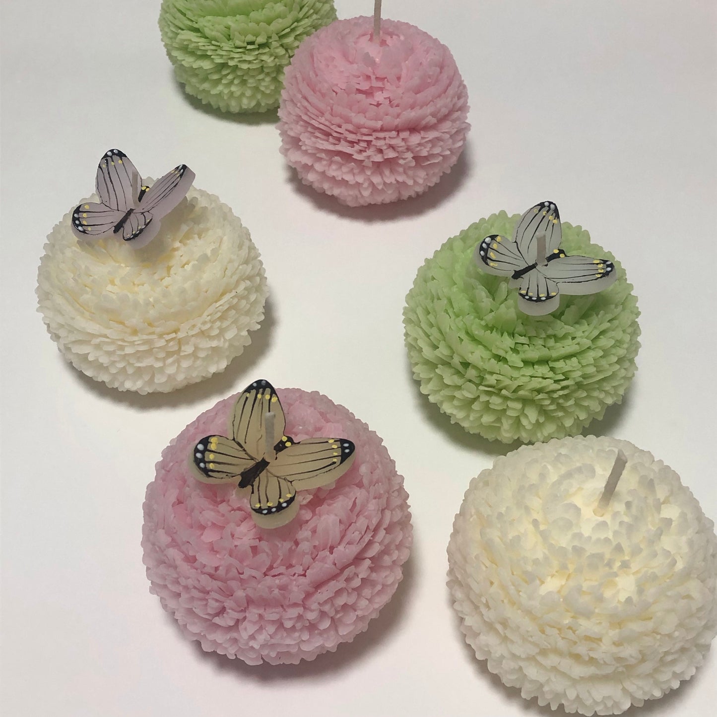 FlowerCandle : ピンポンマム