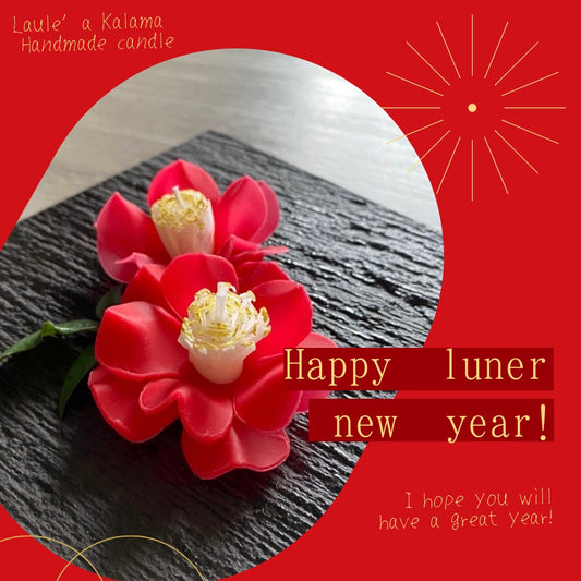 Happy lunar new year!