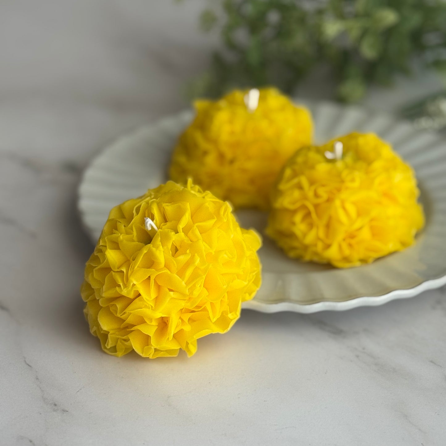 FlowerCandle：ポンポンルナ（ラナンキュラス）