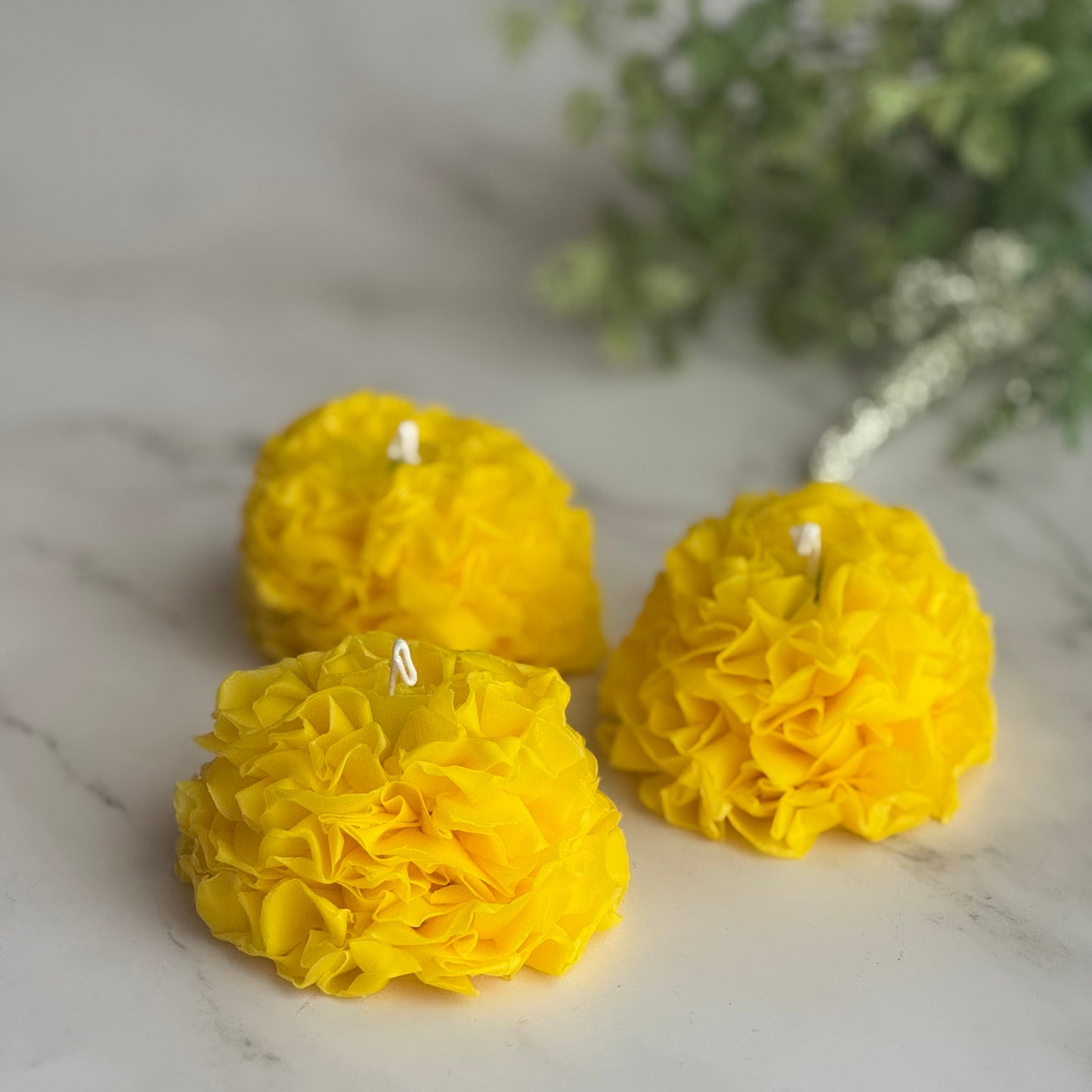 FlowerCandle：ポンポンルナ（ラナンキュラス）